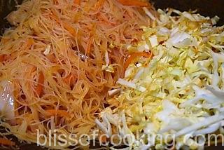 Mee Hoon Goreng (Spicy Rice Vermicilli) - Bliss of Cooking